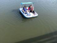 Paddle Boat Rental