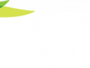 Georgia Logo