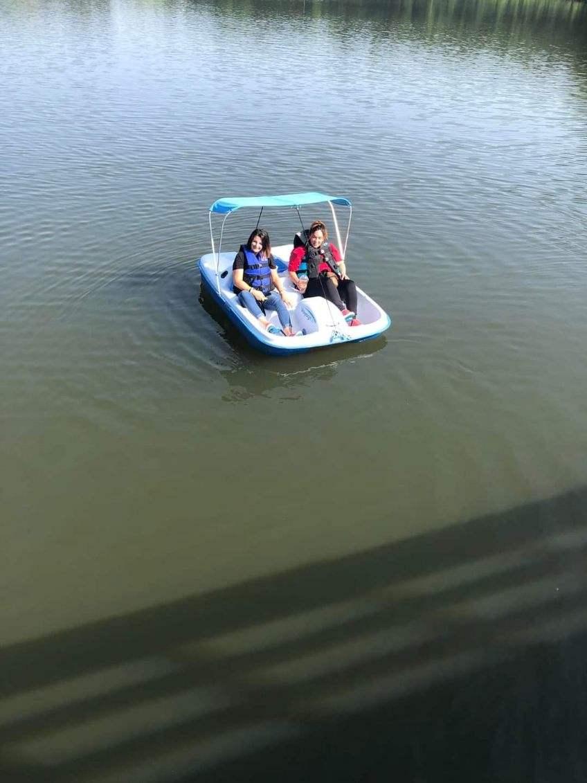 Paddle Boats Rentals Toccoa